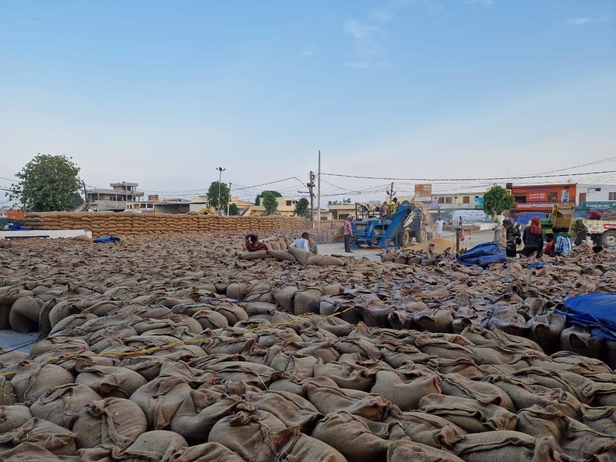 Slow lifting in grain market, farmers and jobbers upset