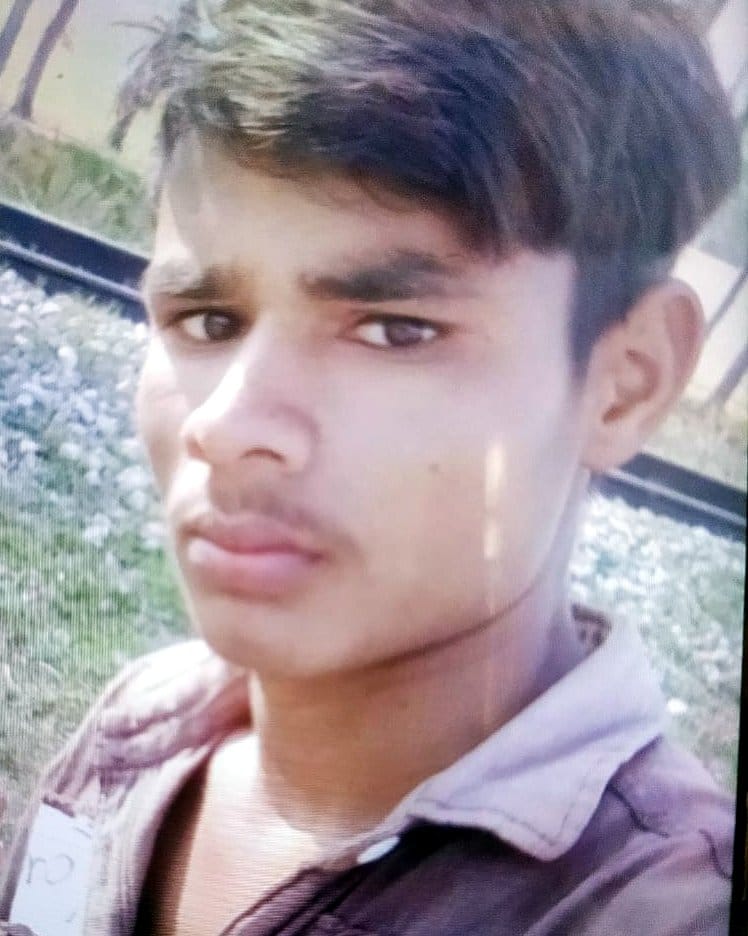 tiger killed youth by pulling him from bike