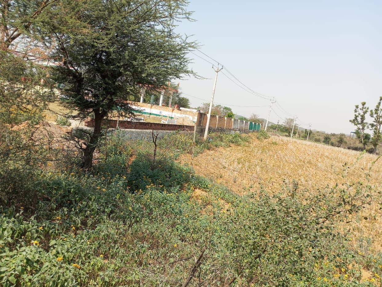 community halls will be built in 13 villages of rewari