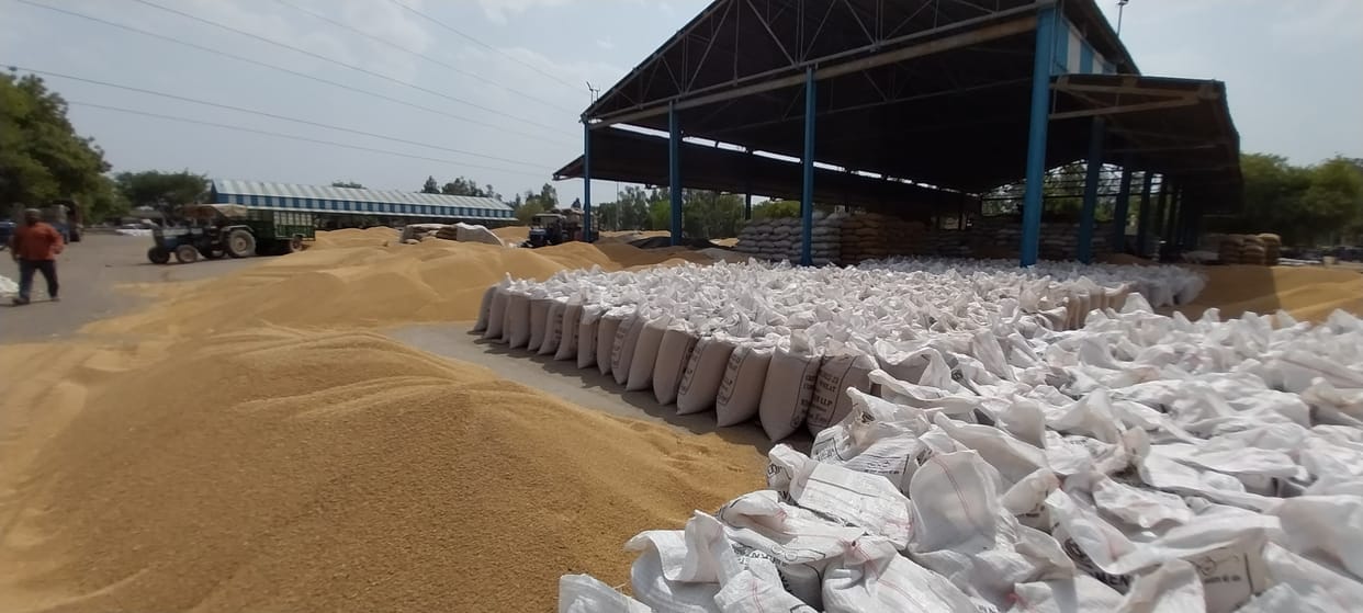 1.90 lakh quintal mustard and 1.70 lakh quintal wheat have reached the purchase centers