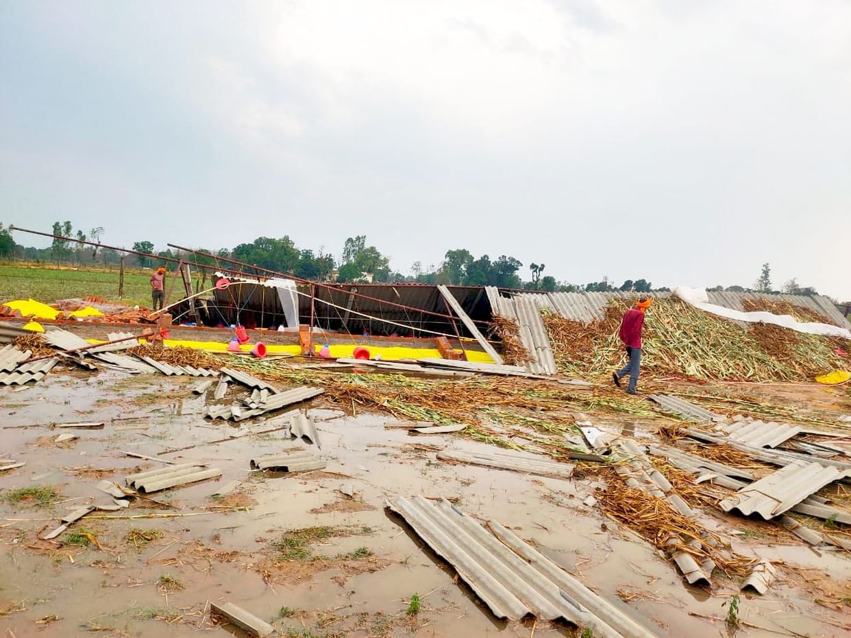 Hail fell with storm and rain, damage to crops