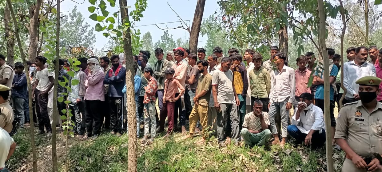 Dead body of old man found hanging on mango tree, fear of murder