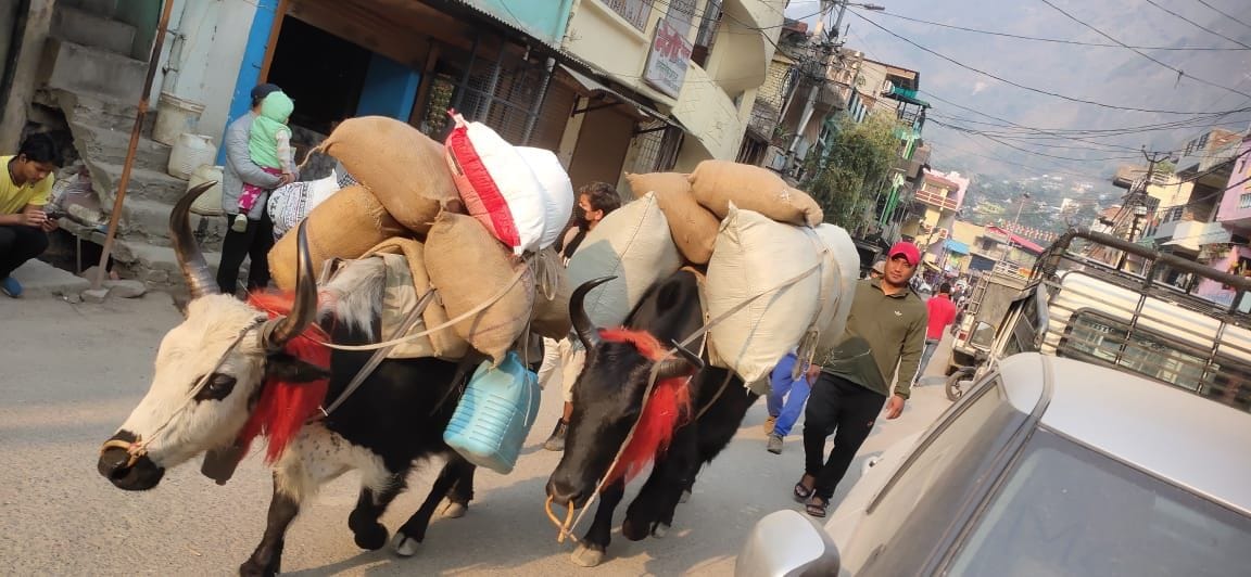 Indo-Nepal Migration