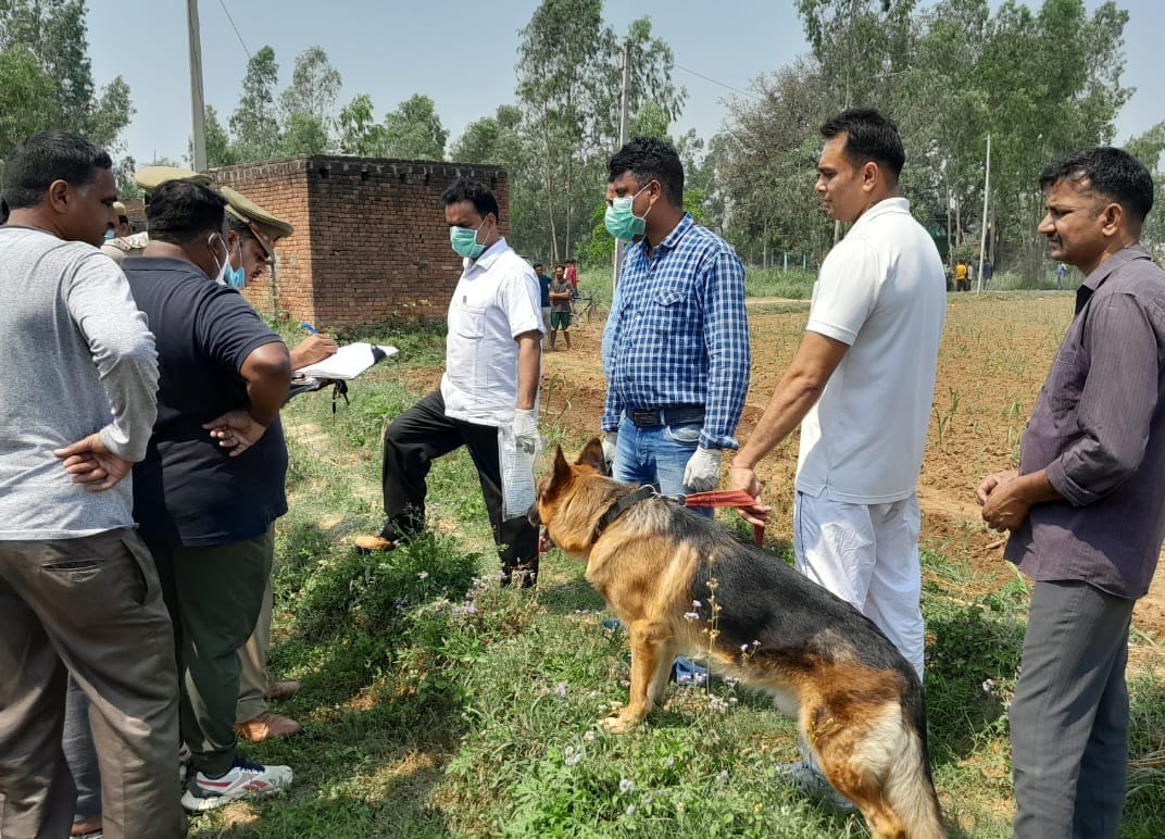 Sensation after the dead body of a woman was found in the sugarcane field in Nangalsoti