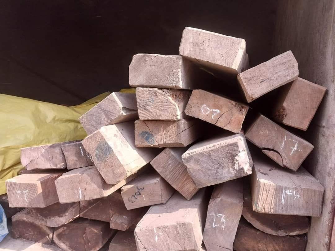 Deodar sleepers stolen from Ani recovered
