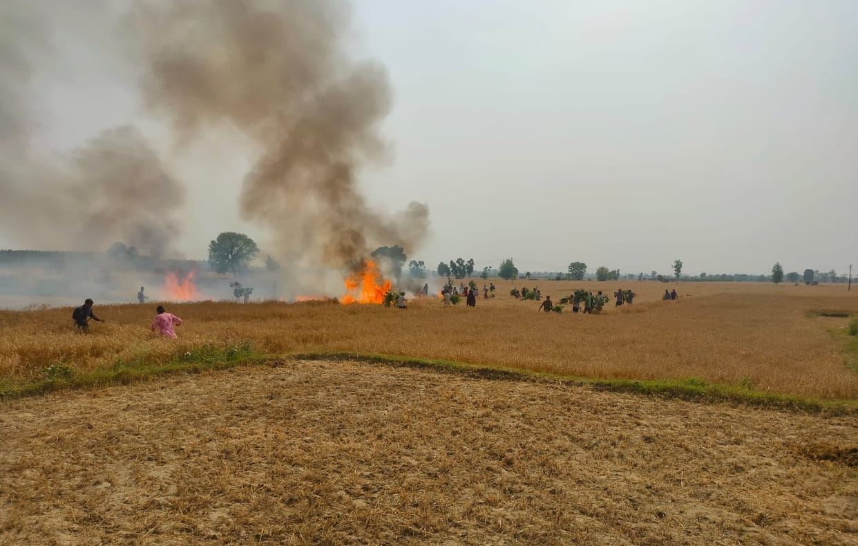 Fire in the wheat crop of eight farmers, loss of lakhs