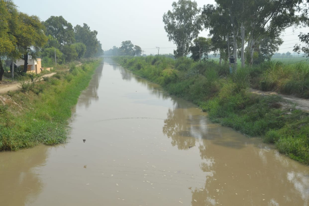 Restoration work of Khedi Sansanwal Minor completed, water will reach till tail