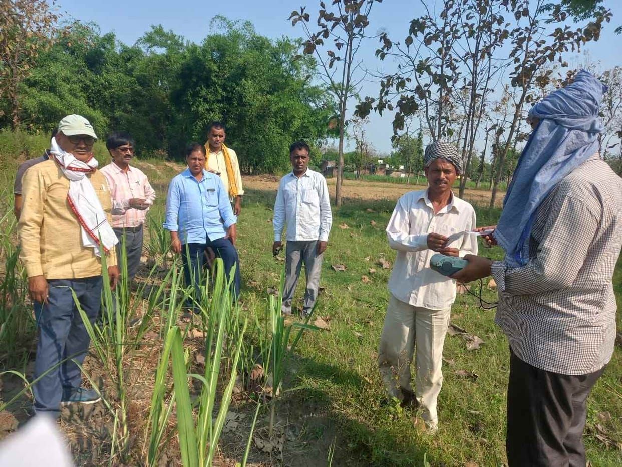 42 teams started sugarcane survey