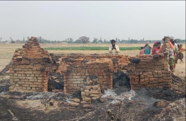 Farm caught fire, 11 pigs died