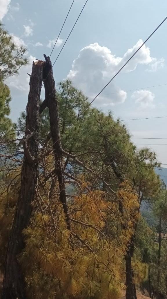 Broken line due to storm in Bhansiachhana, 20 hours of power failure