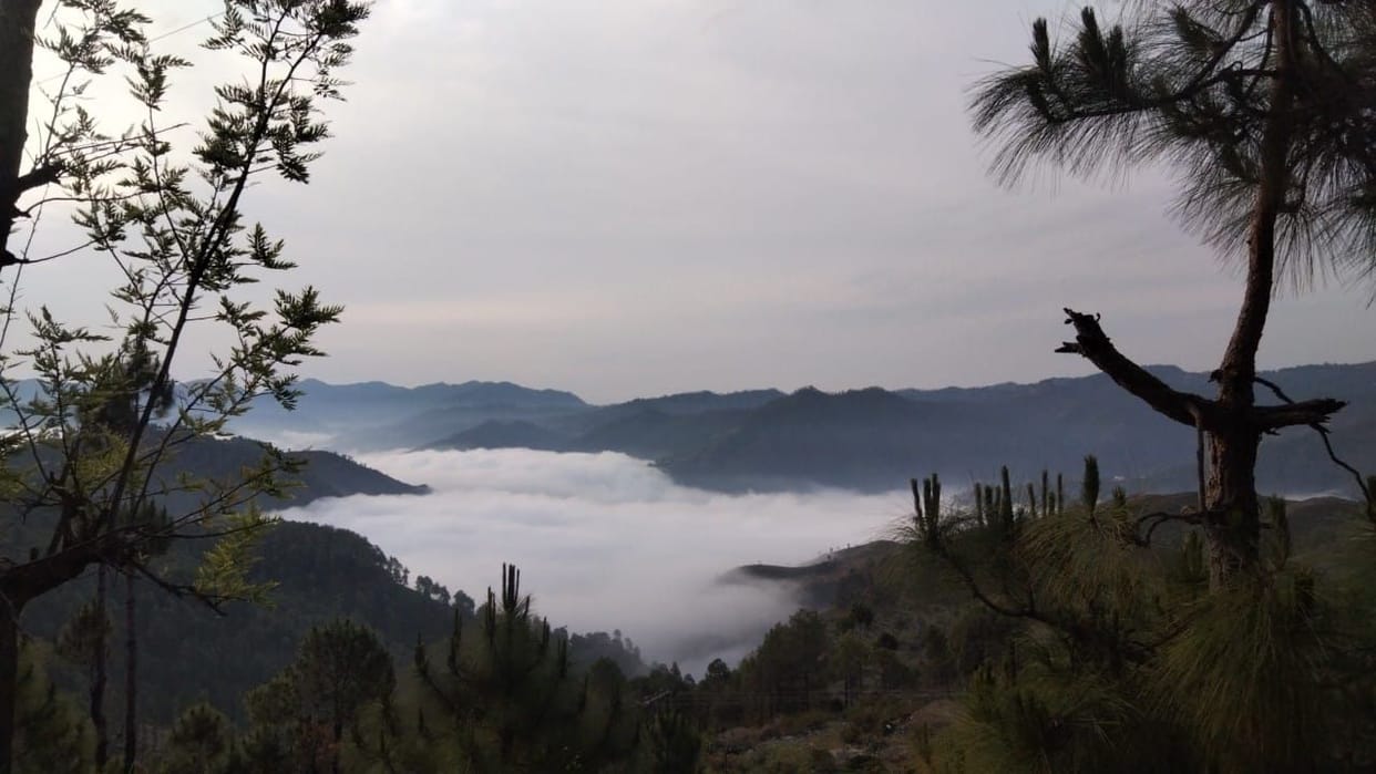 5 in Almora and maximum 16 mm of rain in Jageshwar