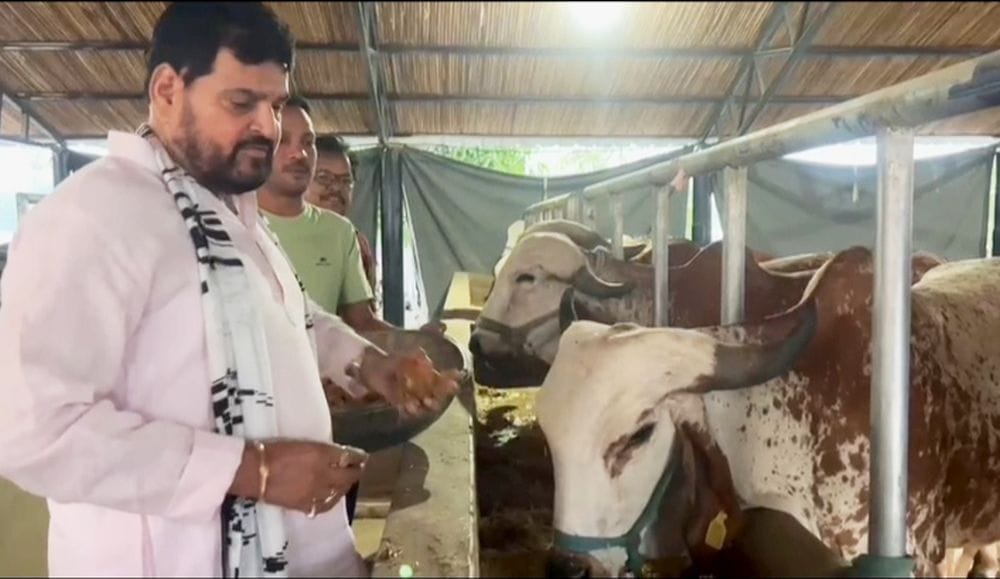 Brij Bhushan seen in Gaushala, stable and arena