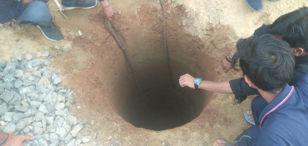 Bull fell into 15 feet deep pit, pulled out after three hours of effort