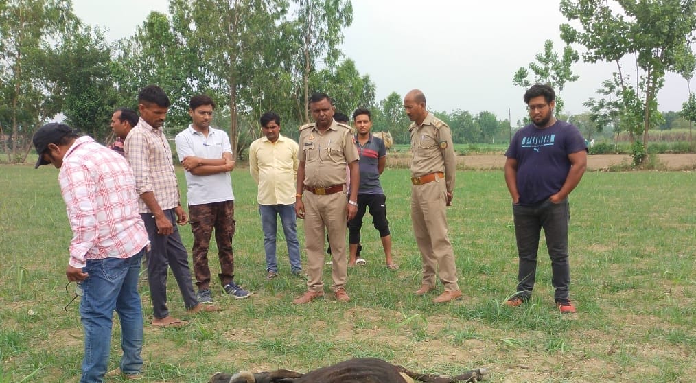 Guldar changed nature, but forest department will not change its intention