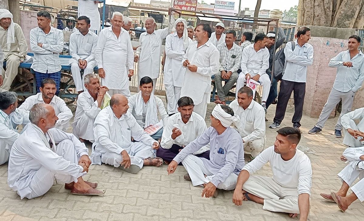 Mustard procurement stopped in Bhattu, farmers sitting on dharna by locking all the gates of the mandi
