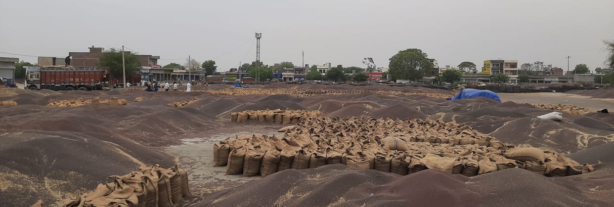 One lakh of mustard and 50 thousand bags of wheat could not be lifted from the headquarters market