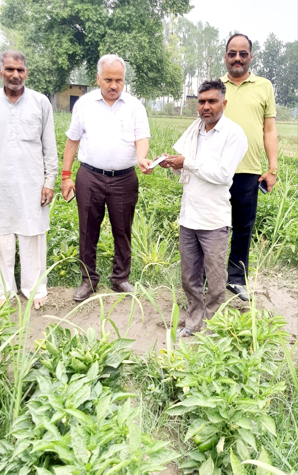 Strict action will be taken if the sugarcane survey team is found absent