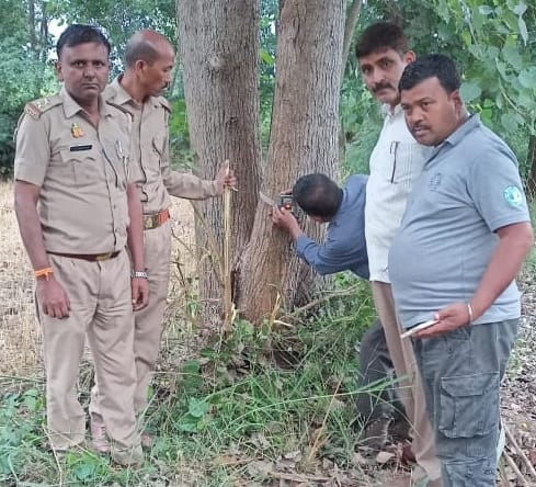 Guldar Running Guldar Seen Running After Dogs In Afzalgarh - Bijnor News - Bijnor News ...