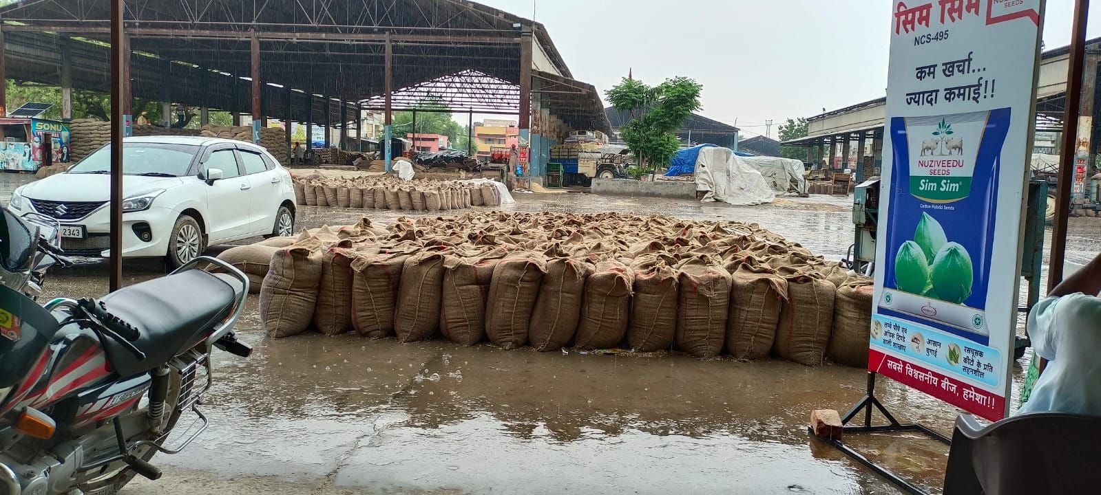 Village Badagudha, Lakdawali, hailstorm for 10 minutes in flowers, 10 lakh quintals of wheat soaked due to rain