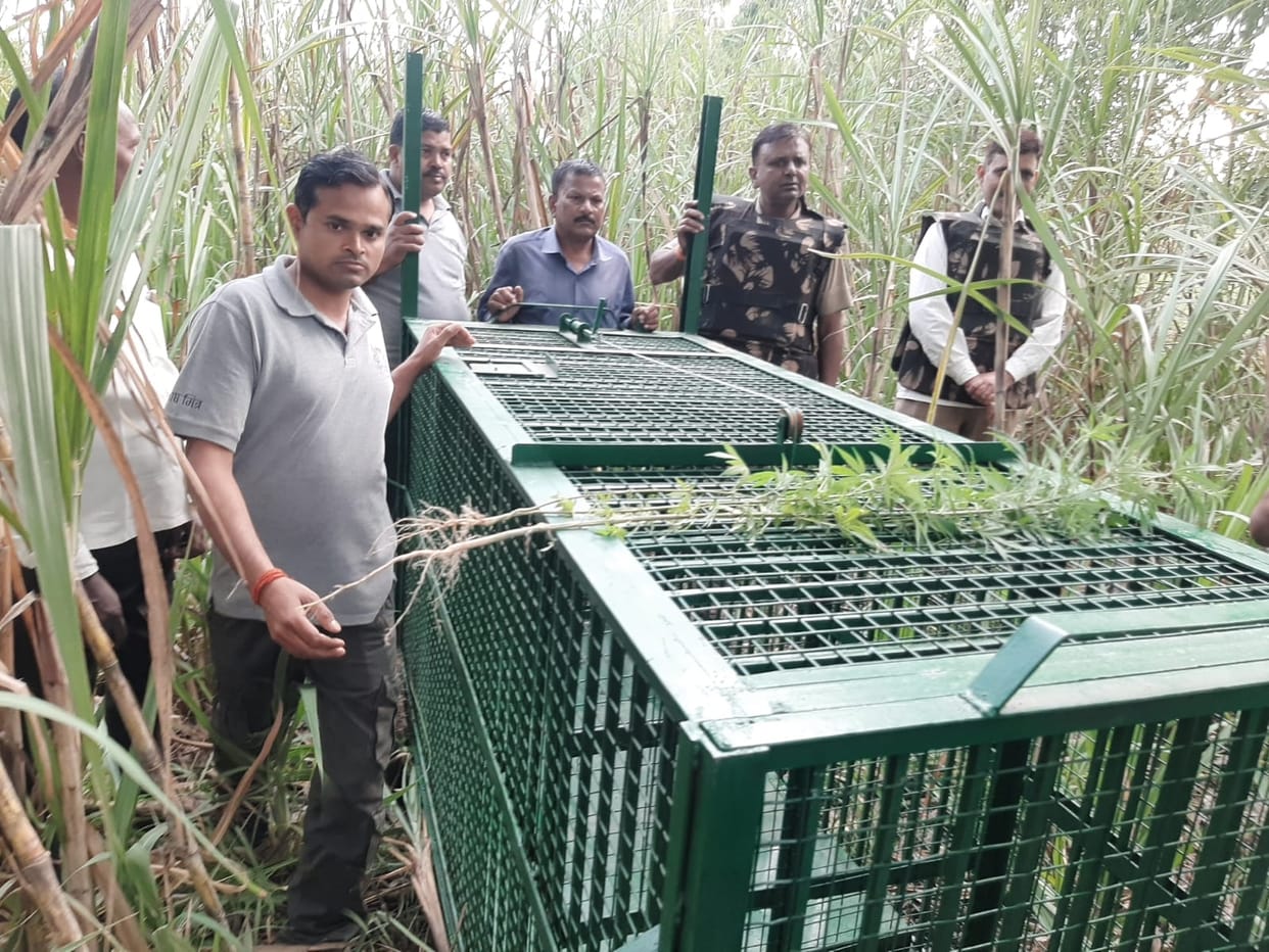 Guldar moved towards Badshahpur, ran after the woman