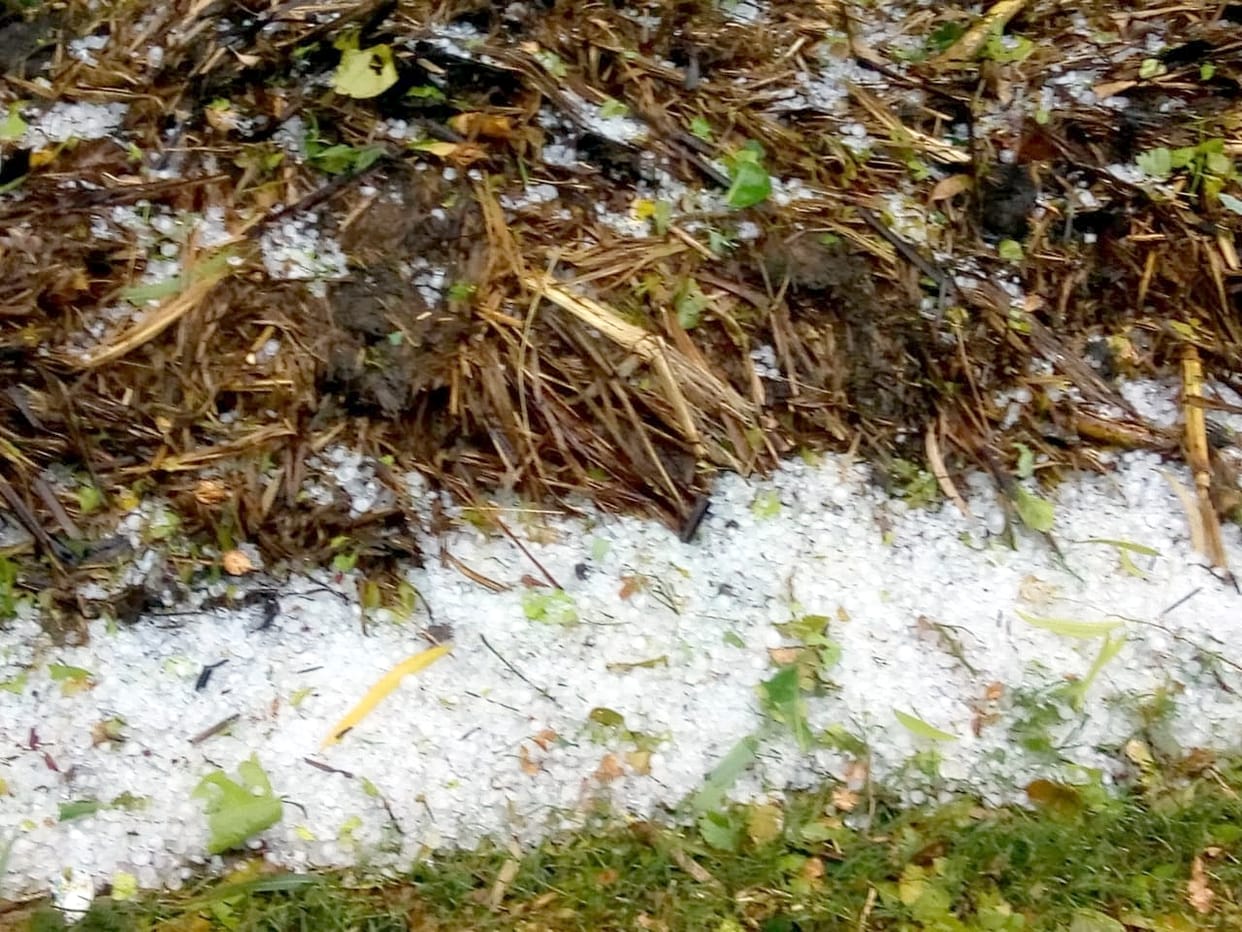 Hail, fire and heavy damage to wheat in many places in the district