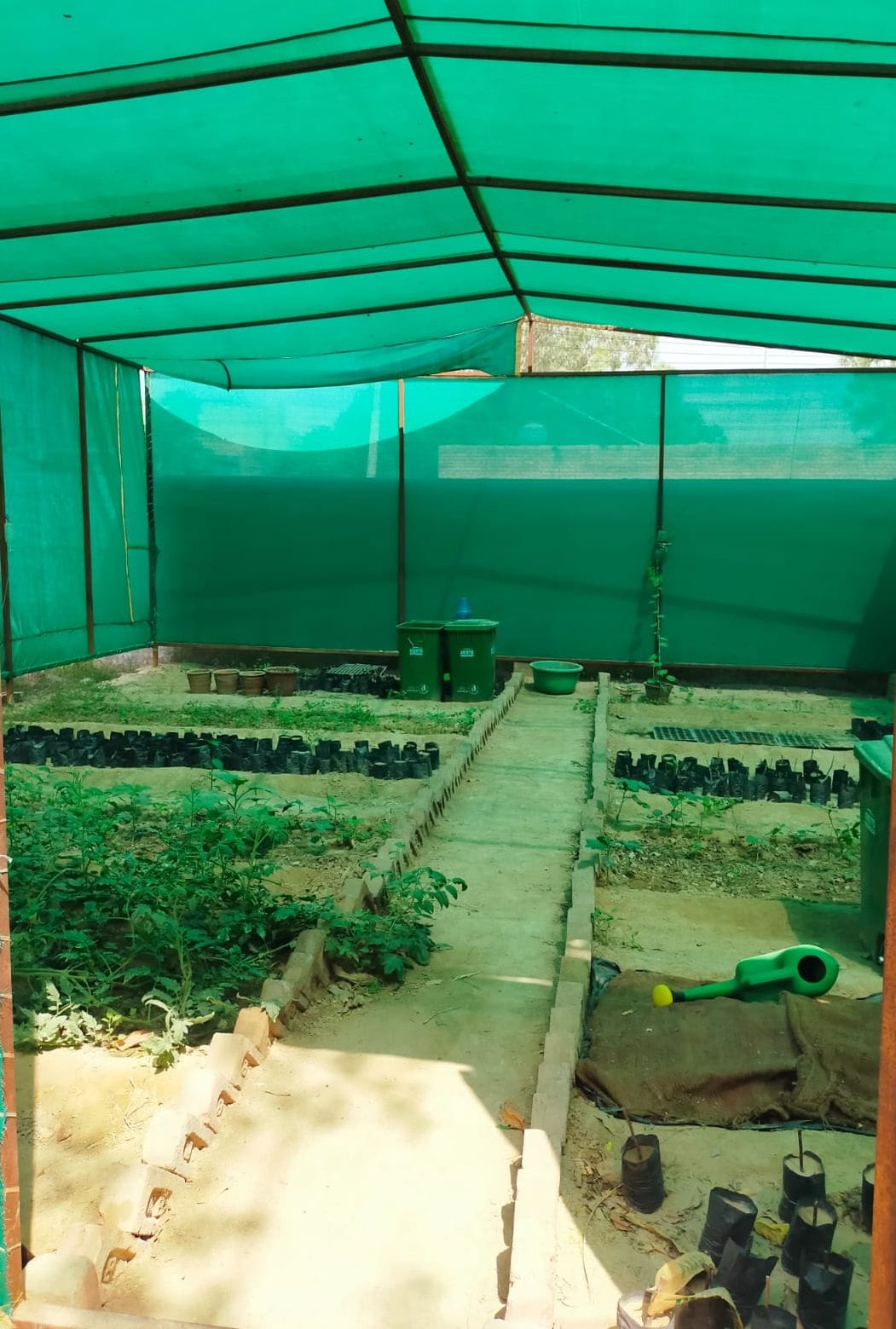 Students will learn to make tomato sauce, nursery, organic and vermicompost in Agriculture Incubation Center