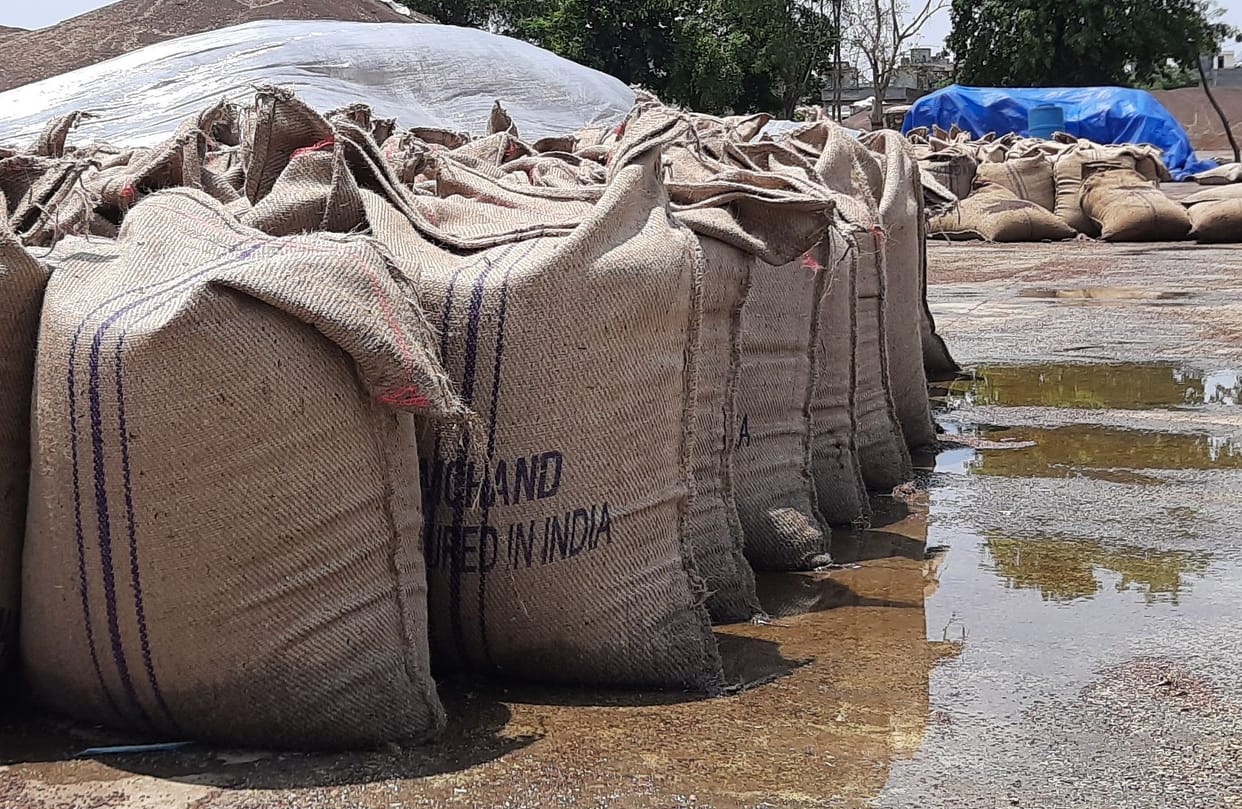 Suspicion created on purchase of 50 thousand quintals of mustard by 2792 farmers, committee engaged in investigation