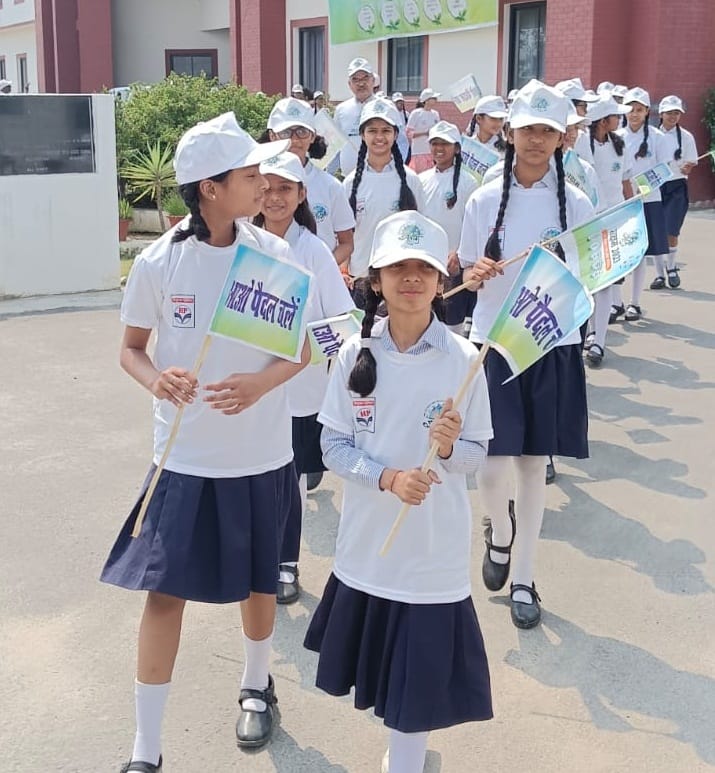 cultural activi organized