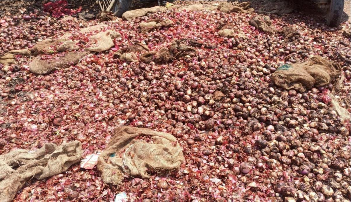 onion is vaste in mundy