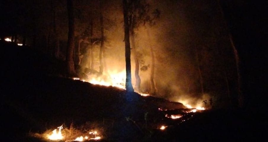 forest fire adjacent to collectorate