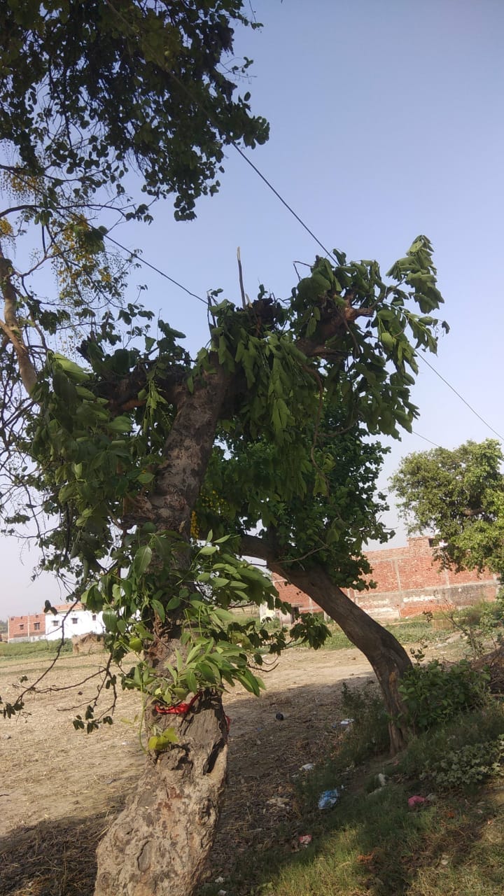 Child dies due to high tension line another injured in gorakhpur