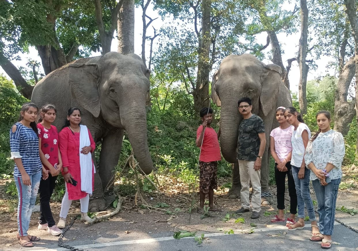 Photographed by feeding bananas to Champakali-Jaimala
