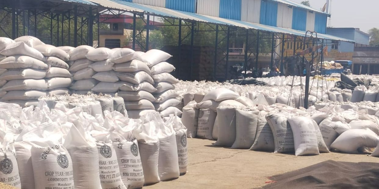 team investigated irregularities in purchase of mustard in mandi