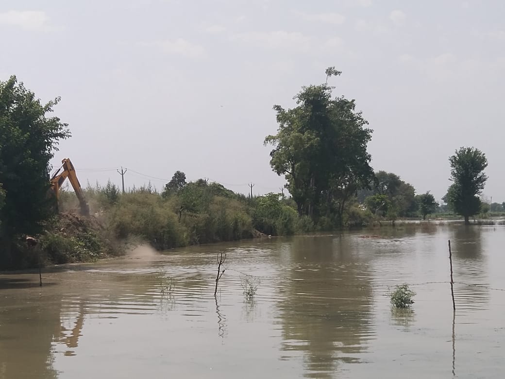 200 bighas of crop submerged due to breaking of Rajbaha's track