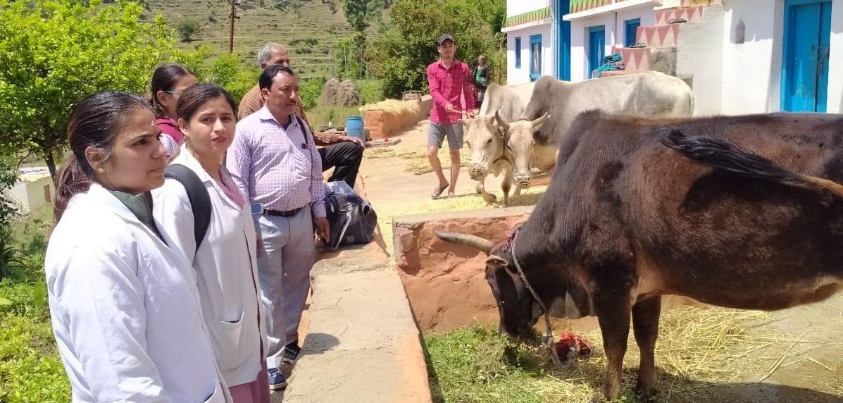 Veterinary officers' leave canceled to deal with Lumpy virus