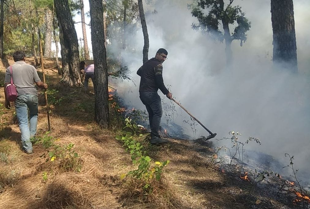 Almora: fire broke out in reserved forest area of Ghingrikhal burning three hectares of forest