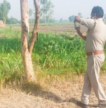 The stolen revolver was found hanging from the tree the other day