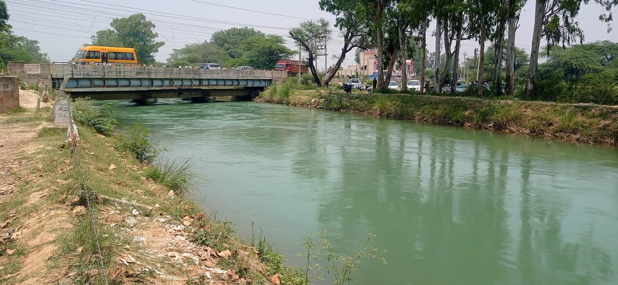 Youth jumping to death in canals, administration unaware