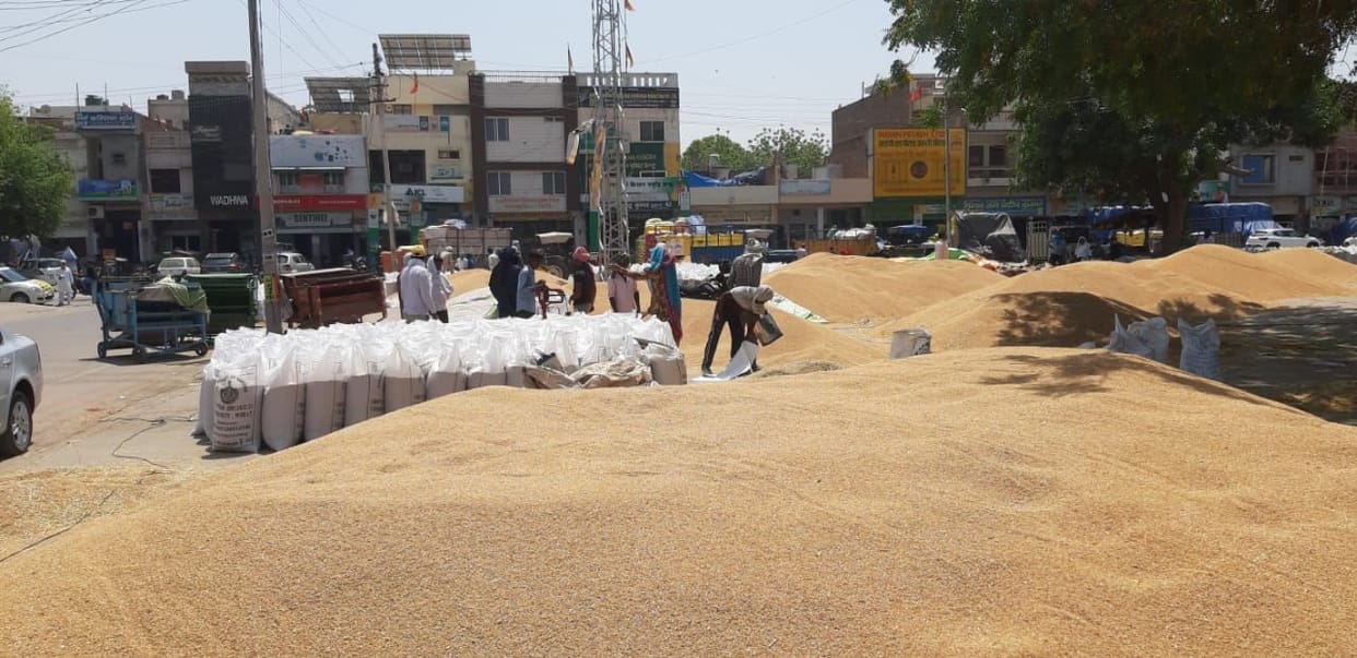 Purchase of 25 lakh quintal wheat more than last year, today is the last chance to sell on MSP
