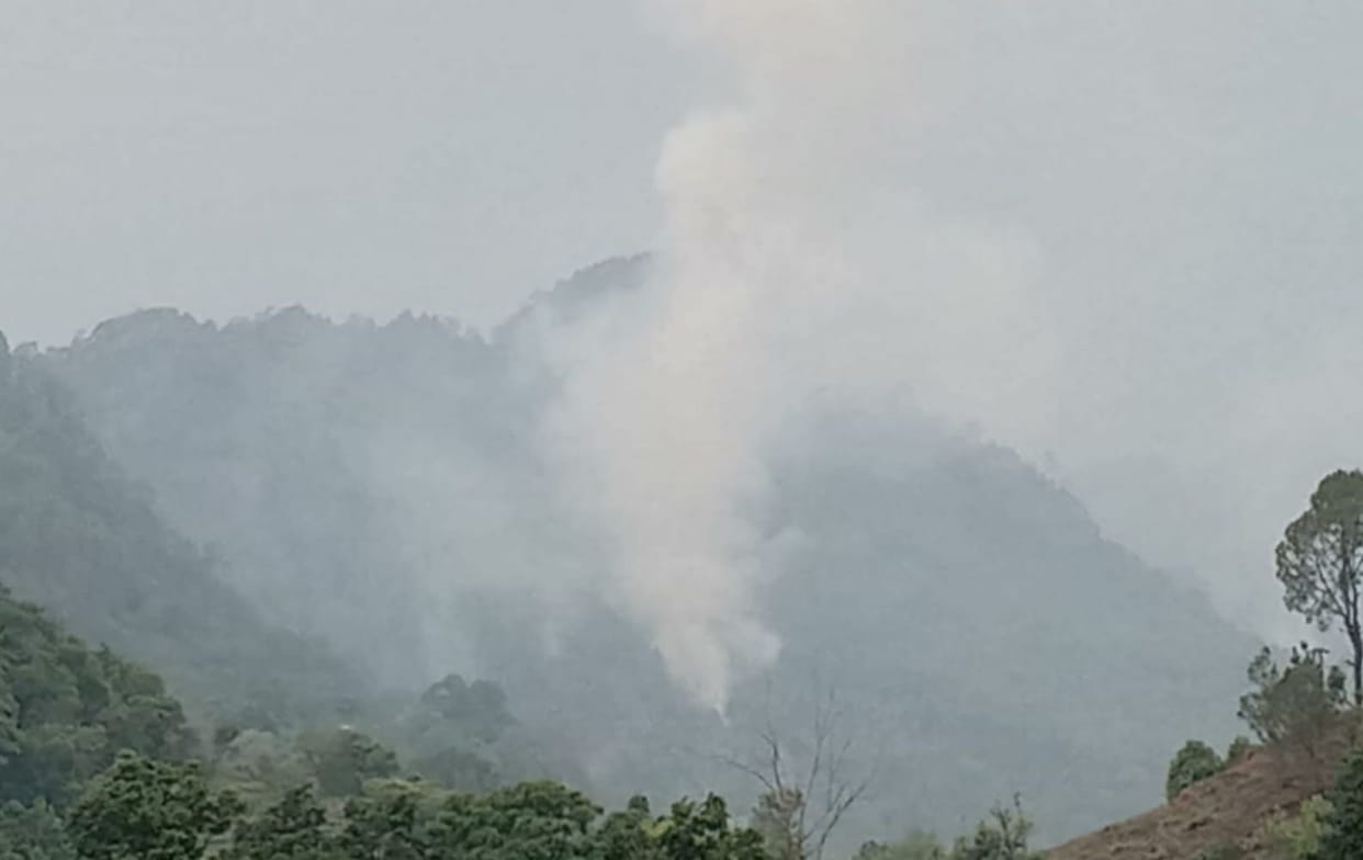 Forest Fire in Thal