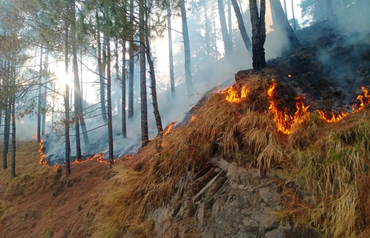 As the heat increased, the fire started in the forests