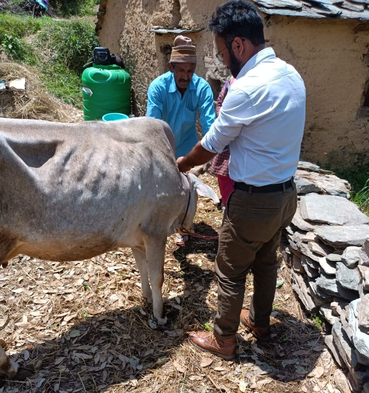 More Lumpy Case in Almora