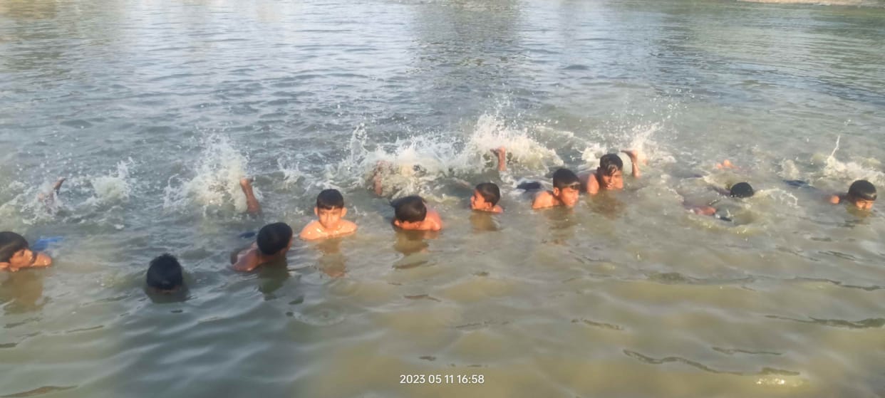 swimmers of pond