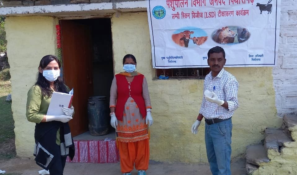 Lumpy disease more in animals of villages bordering Nepal