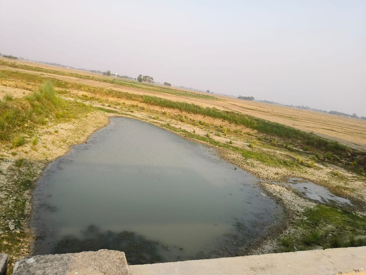 water harvesting