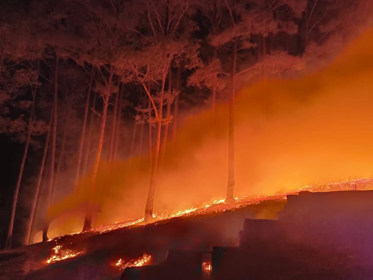 The forests of Pithoragarh started blazing as the heat increased