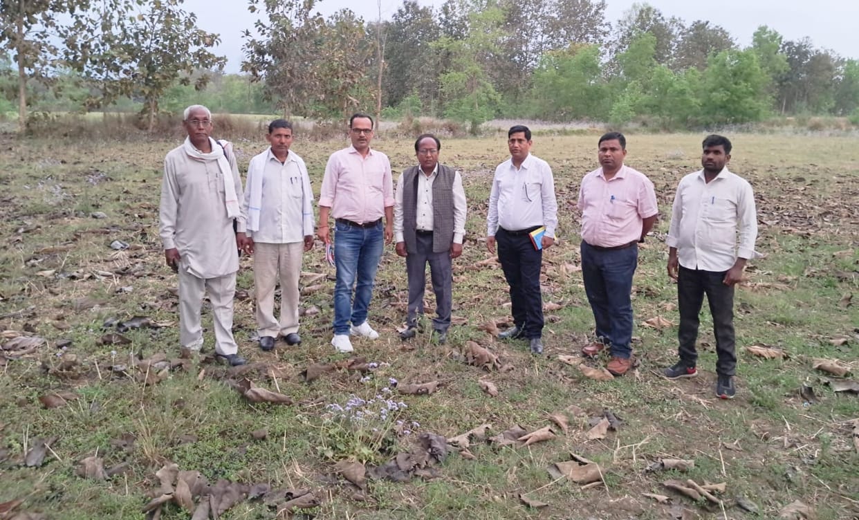 Women will be financially empowered by horticulture