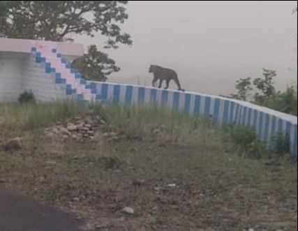 Guldar seen at the scene in Kalagarh