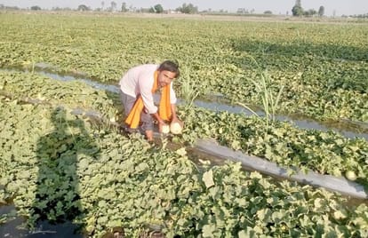 Puwayan's 'Gulla' creating ruckus in many states