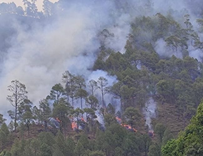 Forests burning in Bageshwar, Kapkot, Garuda
